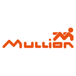 MULLION