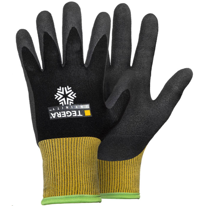 8810 INFINITY WINTER GLOVE - TEGERA